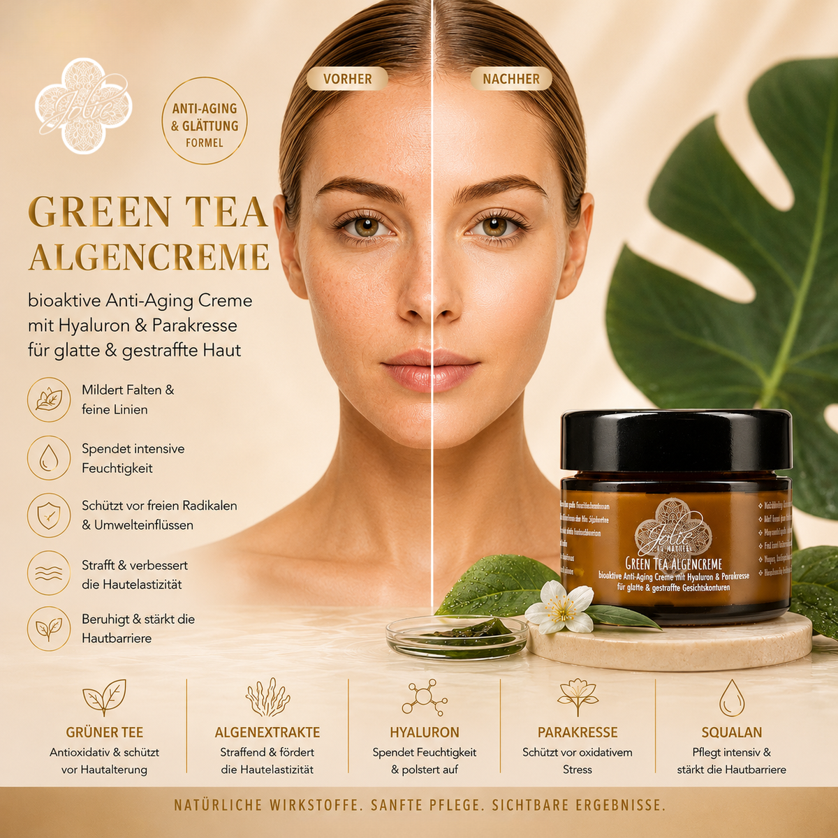 Hyaluron Anti Aging Creme I Algen Creme I Green tea I Gesichtskonturen I Parakresse 50g