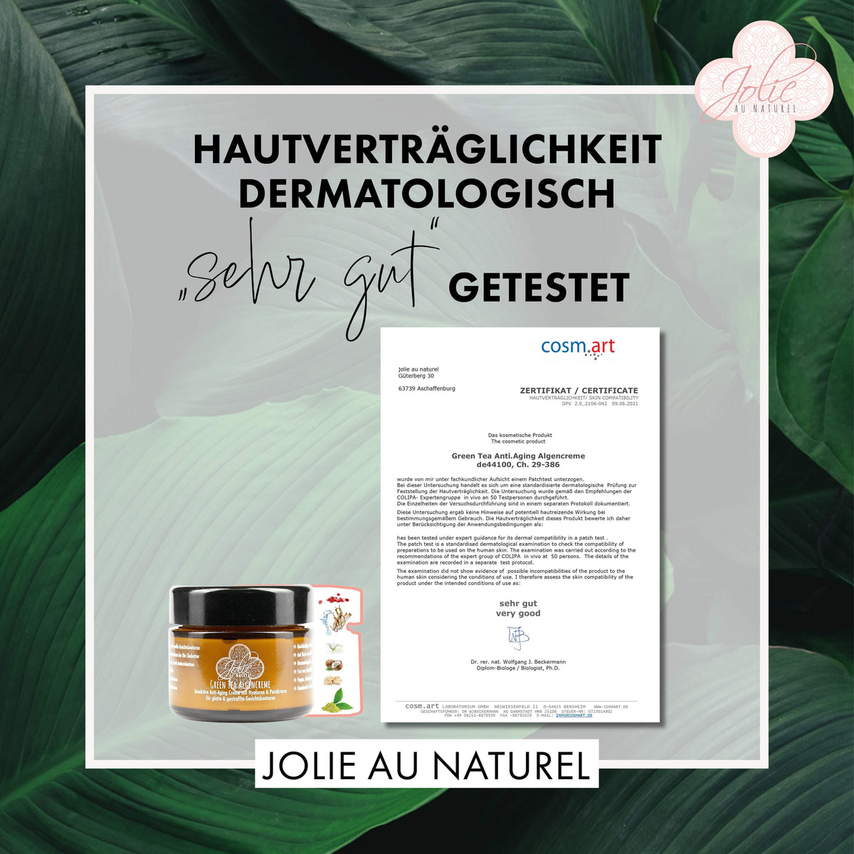 Hyaluron Anti Aging Creme I Algen Creme I Green tea I Gesichtskonturen I Parakresse 50ml - Jolie au naturel: Nachhaltige Naturkosmetik