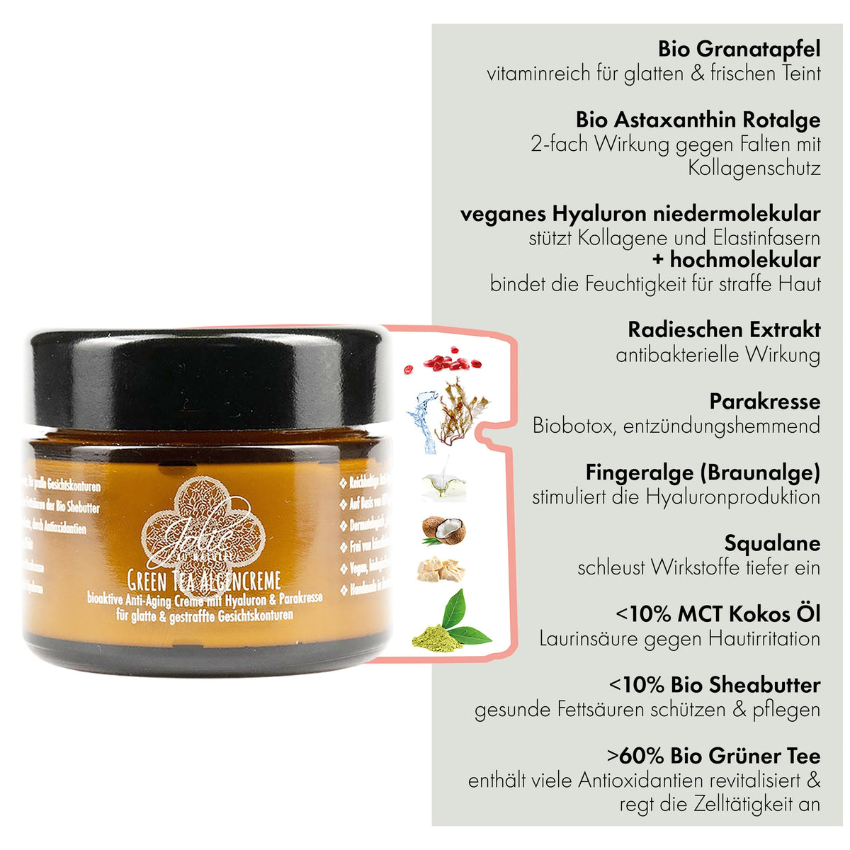 Hyaluron Anti Aging Creme I Algen Creme I Green tea I Gesichtskonturen I Parakresse 50ml - Jolie au naturel: Nachhaltige Naturkosmetik